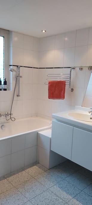 House Close To And * Hoorn (North Holland)