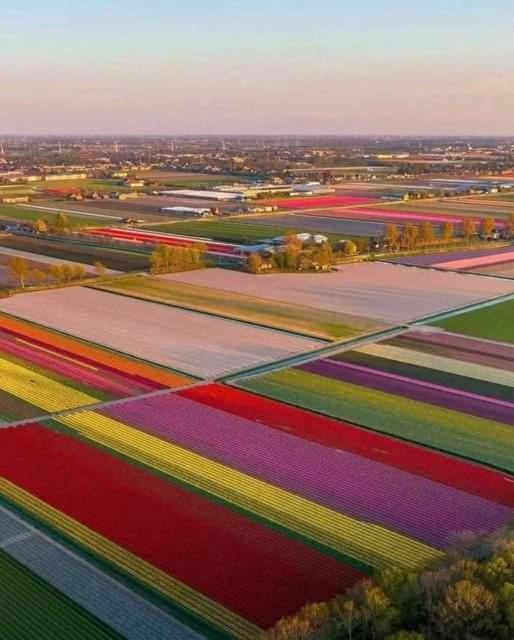 House Close To And Casa vacanze Hoorn (North Holland)